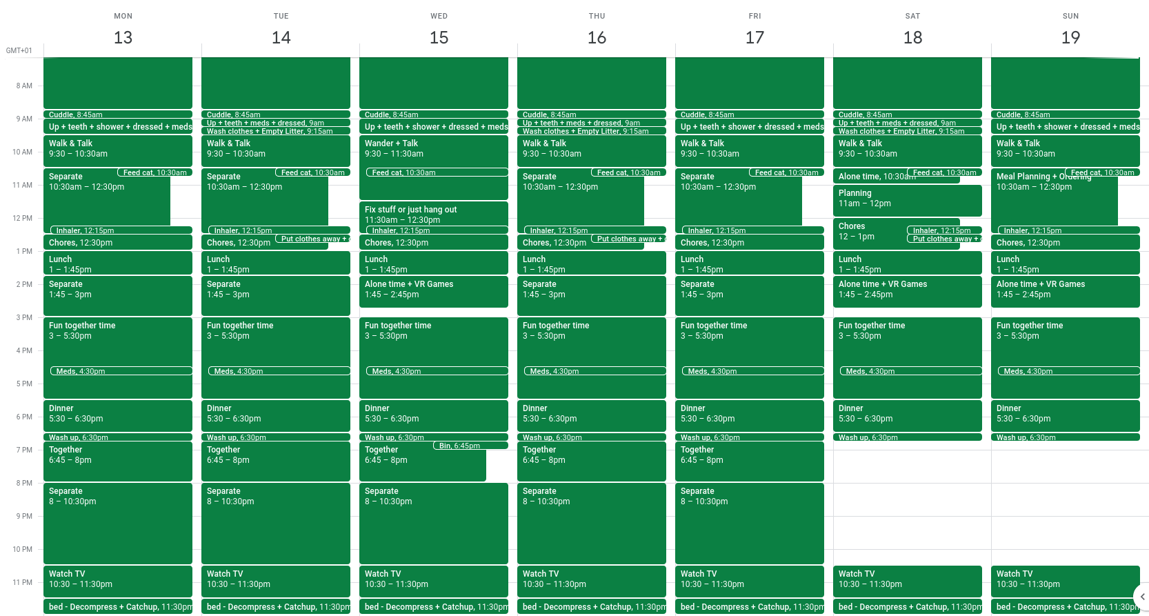 My calendar, with every minute planned out, 24 hours a day, with specific tasks for me to follow, like 'Feed Cat', 'Watch TV', and 'Put Clothes Away'